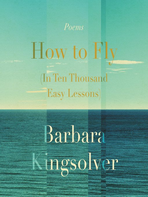 Cover image for How to Fly (In Ten Thousand Easy Lessons)